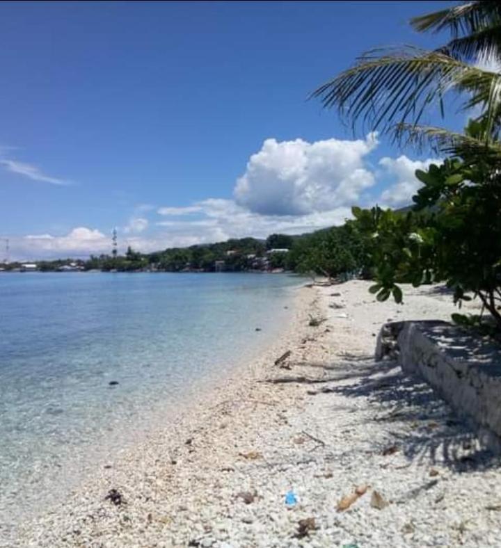 Lagnason'S Place Oslob Kültér fotó